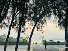 -宝安西湾红树林湿地公园