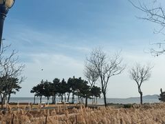 -青岛海泉湾度假区温泉