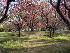-莲花池公园