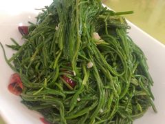 养生枸杞苗-老毛手抓·盐池滩羊非遗手抓(宁夏总店)