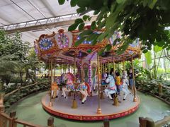 -南宫五洲植物乐园