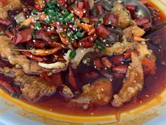 磁器口毛血旺-山顶顶概念四川菜(黄埔大道店)