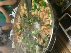 -鸭嘴鱼