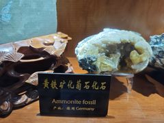 -青岛德国总督楼旧址博物馆