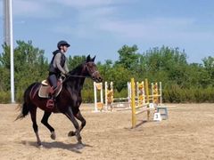 -北京群众马术培训基地