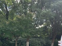-汤山公园