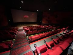 -龙之星国际影城(太平店)