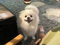 -J Create城市露营咖啡·简餐·宠物(上海动物园店)