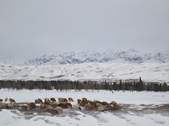 -新疆那拉提国家旅游度假区