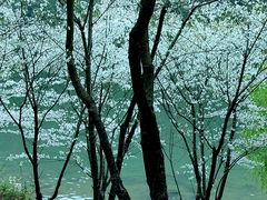 -芳草地度假酒店·野炉中餐厅