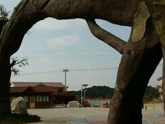 -绵阳盛世樱花悠乐谷