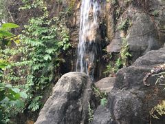 -金鸡山公园