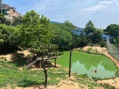 -西霞口神雕山野生动物世界