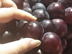 -每日新鲜水果吧(南京东路店)