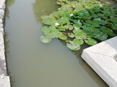 -台儿庄古城