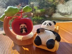 -无锡动物园·太湖欢乐园