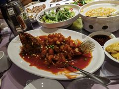 松鼠桂鱼-顺风海鲜港(长寿路店)