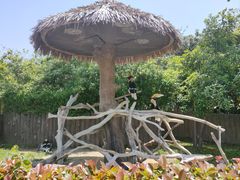 -上海野生动物园