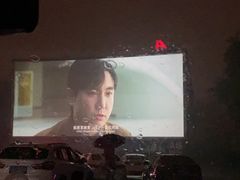 -枫花园汽车电影院(朝阳公园店)