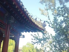 -莲池书院博物馆