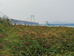 -怀来官厅水库