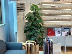 -刺鸟眼镜(全国连锁中山广场店)