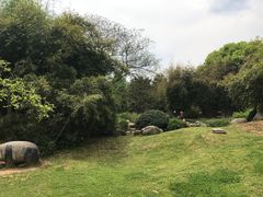 -堤角公园