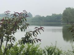 -东郊湿地公园