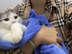 -pd派德宠物中心医院24H急重症·眼科中心·血液透析中心(嵩山北路店)