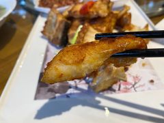 -陶缘一号·四季缘·老字号顺德菜·户外婚礼家宴(西滘店)