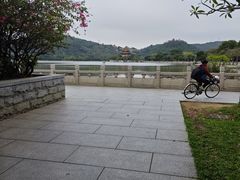 -顺峰山公园
