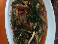 酸辣茴香小鱼-谢师酒家