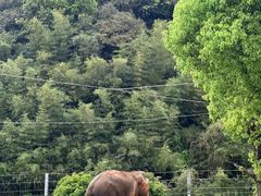 -宁波野生动物园