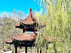 -大连植物园