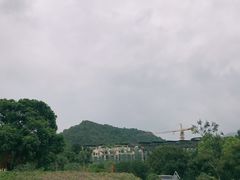 -清水湖度假村(罗浮山美食地标店)