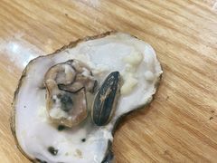 -蚝抵食·湛江生蚝(湾北路店)