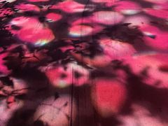 -蓝山咖啡馆(钱江龙店)