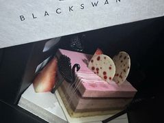 -BLACKSWAN黑天鹅(环球店)