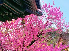 -西安市广仁寺