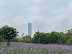 -厦门园林博览苑