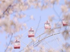 -东湖磨山景区