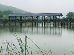 -石塘人家