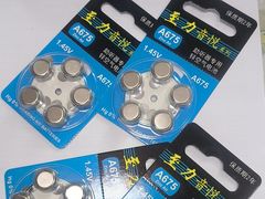 -自然之声助听器·呼吸机(和平店)