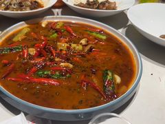 -杨氏青龙虾·羊蝎子(托乐嘉店)