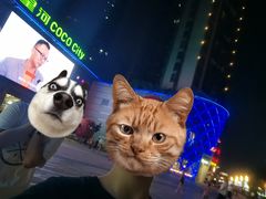 -深圳龙华星河COCO City(民治店)