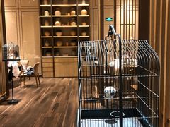 -莲·中餐厅(成都首座万豪酒店)