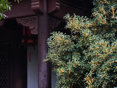 -钱王祠