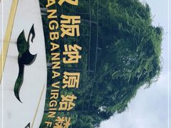 -西双版纳原始森林公园