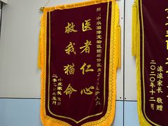 -中农国际动物医院24小时·猫科·骨科·急重症中心