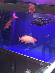 -灵彩珠宝(朗香街店)